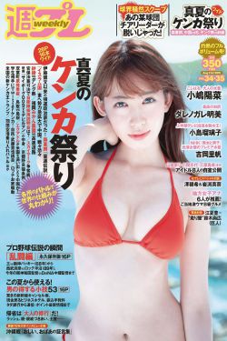 电车之狼r补丁