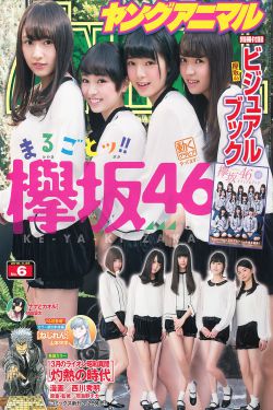 玫瑰的故事29集