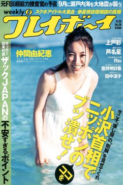 黑鹰坠落电影简介