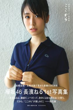 平凡的荣耀在线观看免费完整版
