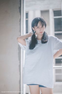 森林泰山下载