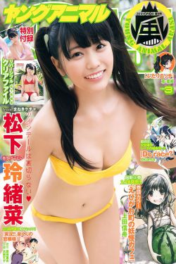 当家女人免费观看电视剧