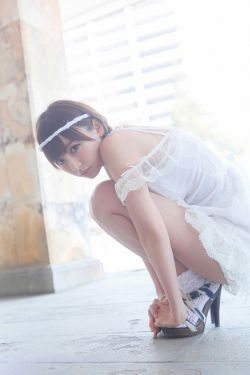 金瓶新梅