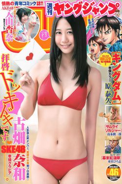 山景王四