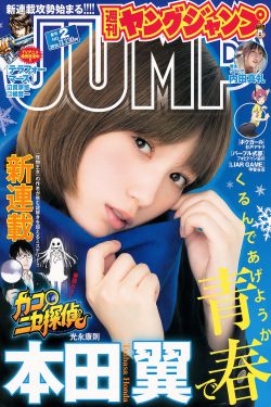 漫画大全之无彩翼漫母