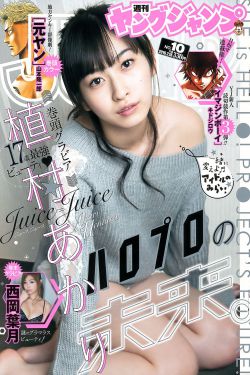女人的下部视频播放